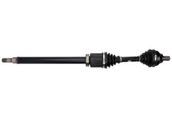 PLANETARA POINT GEAR PNG72951 - Compatibil cu FORD, VOLVO
