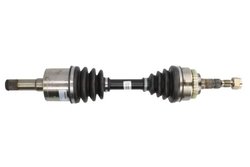 Planetara POINT GEAR PNG73040