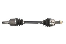 PLANETARA POINT GEAR PNG73051 - Compatibil cu FIAT
