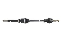 Planetara POINT GEAR PNG73057
