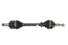 Planetara POINT GEAR PNG73064
