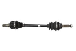 Planetara POINT GEAR PNG73083