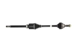 Planetara POINT GEAR PNG73131
