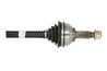 PLANETARA POINT GEAR PNG73131 - Compatibil cu NISSAN
