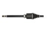 PLANETARA POINT GEAR PNG73131 - Compatibil cu NISSAN