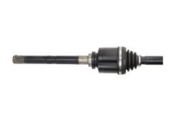 PLANETARA POINT GEAR PNG73132 - Compatibil cu CITROEN, PEUGEOT
