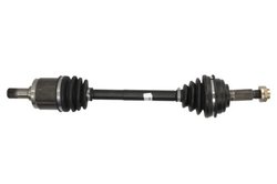 Planetara POINT GEAR PNG73142