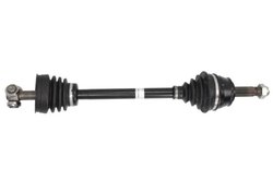 PLANETARA POINT GEAR PNG73153 - Compatibil cu FIAT