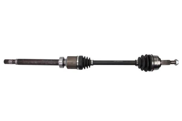 Planetara POINT GEAR PNG73173