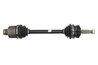 Planetara POINT GEAR PNG73181