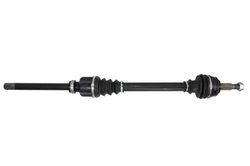 Planetara POINT GEAR PNG73186