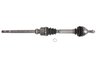 PLANETARA POINT GEAR PNG74684 - Compatibil cu CITROEN, DS, PEUGEOT