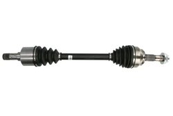 PLANETARA POINT GEAR PNG74696 - Compatibil cu FIAT