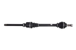 PLANETARA POINT GEAR PNG74699 - Compatibil cu CITROEN