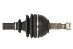 PLANETARA POINT GEAR PNG74723 - Compatibil cu CITROEN, PEUGEOT, TOYOTA