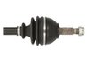 PLANETARA POINT GEAR PNG74723 - Compatibil cu CITROEN, PEUGEOT, TOYOTA