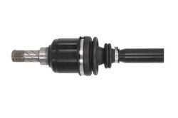 PLANETARA POINT GEAR PNG74746 - Compatibil cu RENAULT