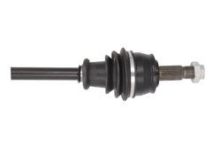 PLANETARA POINT GEAR PNG74795 - Compatibil cu OPEL
