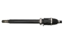 PLANETARA POINT GEAR PNG74844 - Compatibil cu BMW