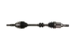 PLANETARA POINT GEAR PNG74952 - Compatibil cu NISSAN