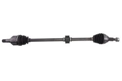 PLANETARA POINT GEAR PNG74962 - Compatibil cu CHRYSLER, LANCIA
