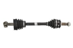 PLANETARA POINT GEAR PNG75081 - Compatibil cu FIAT