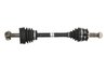 PLANETARA POINT GEAR PNG75081 - Compatibil cu FIAT