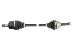 Planetara POINT GEAR PNG75097