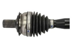 Planetara POINT GEAR PNG75095