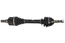 Planetara POINT GEAR PNG75105