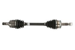 Planetara POINT GEAR PNG75151