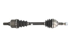 Planetara POINT GEAR PNG75169