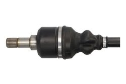 PLANETARA POINT GEAR PNG75162 - Compatibil cu CITROEN, FIAT, LANCIA, PEUGEOT