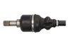 PLANETARA POINT GEAR PNG75162 - Compatibil cu CITROEN, FIAT, LANCIA, PEUGEOT