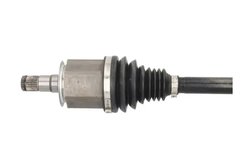 Planetara POINT GEAR PNG75210