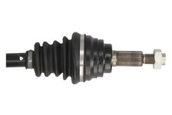 Planetara POINT GEAR PNG75280