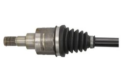 Planetara POINT GEAR PNG75280