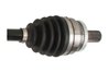 PLANETARA POINT GEAR PNG75516 - Compatibil cu VOLVO