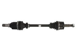 PLANETARA POINT GEAR PNG75637 - Compatibil cu MITSUBISHI, SMART