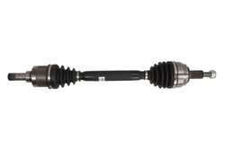 PLANETARA POINT GEAR PNG75722 - Compatibil cu MERCEDES-BENZ, RENAULT