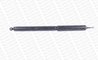 Amortizor directie Monroe R2797