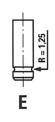 SUPAPA ADMISIE FRECCIA R4883/RCR - Compatibil cu CITROEN, FIAT, PEUGEOT, ROVER, SUZUKI