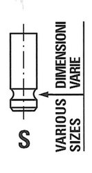 SUPAPA ADMISIE FRECCIA R6439/SNT - Compatibil cu CITROEN, DAIHATSU, PEUGEOT, SUBARU, TOYOTA