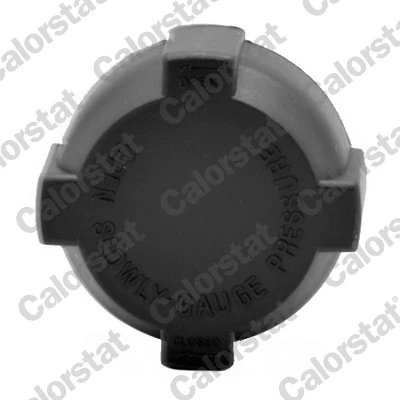 BUSON VAS EXPANSIUNE CALORSTAT BY VERNET RC0001 - Compatibil cu LAND ROVER