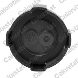 BUSON VAS EXPANSIUNE CALORSTAT BY VERNET RC0001 - Compatibil cu LAND ROVER