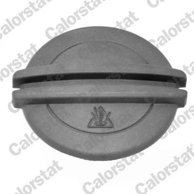 BUSON VAS EXPANSIUNE CALORSTAT BY VERNET RC0011 - Compatibil cu AUDI, MAN, PORSCHE, SEAT, SKODA, VW