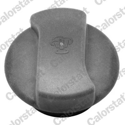 BUSON VAS EXPANSIUNE CALORSTAT BY VERNET RC0015 - Compatibil cu FORD, SEAT, VW