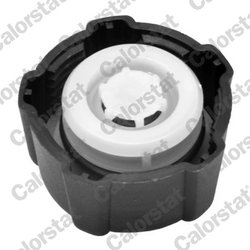 BUSON VAS EXPANSIUNE CALORSTAT BY VERNET RC0016 - Compatibil cu DACIA, LADA, MERCEDES-BENZ, MITSUBISHI, NISSAN, OPEL, RENAULT, R