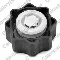 BUSON VAS EXPANSIUNE CALORSTAT BY VERNET RC0021 - Compatibil cu CITROEN, DS, FIAT, LANCIA, PEUGEOT, SUZUKI