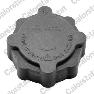 BUSON VAS EXPANSIUNE CALORSTAT BY VERNET RC0025 - Compatibil cu SKODA, VW